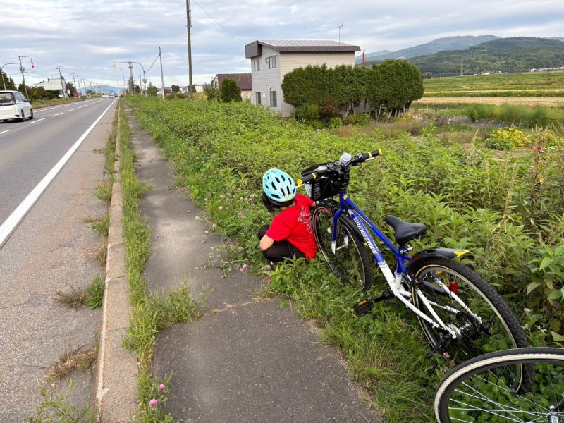 チャリチャレ2026 Day1 写真 1190