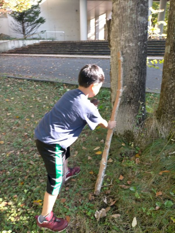 チャリチャレ2026 Day3 写真 566