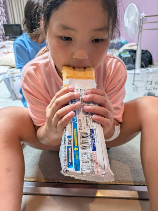 チャリチャレ2026 Day4 写真 558