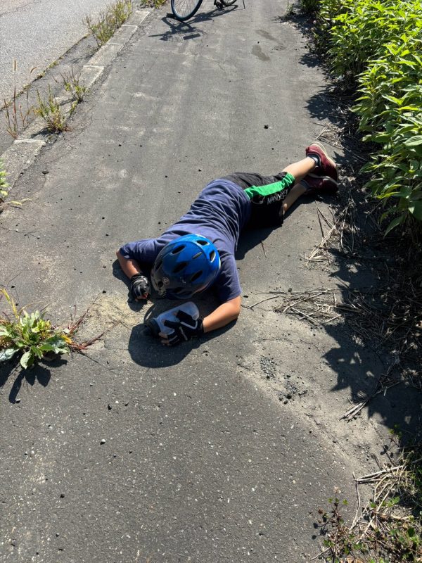 チャリチャレ2026 Day4 写真 865